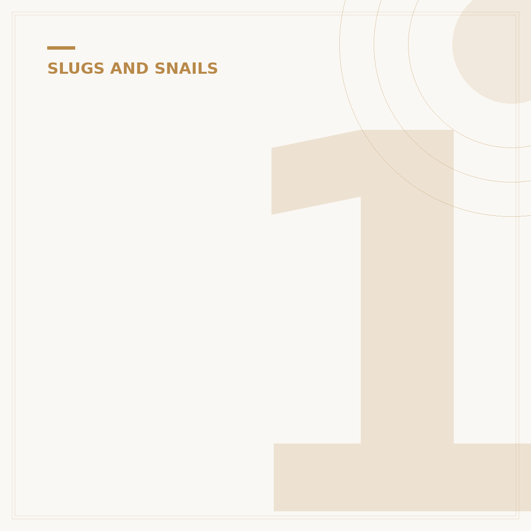 1 Guy 2 Slugs: Understanding the Phrase
