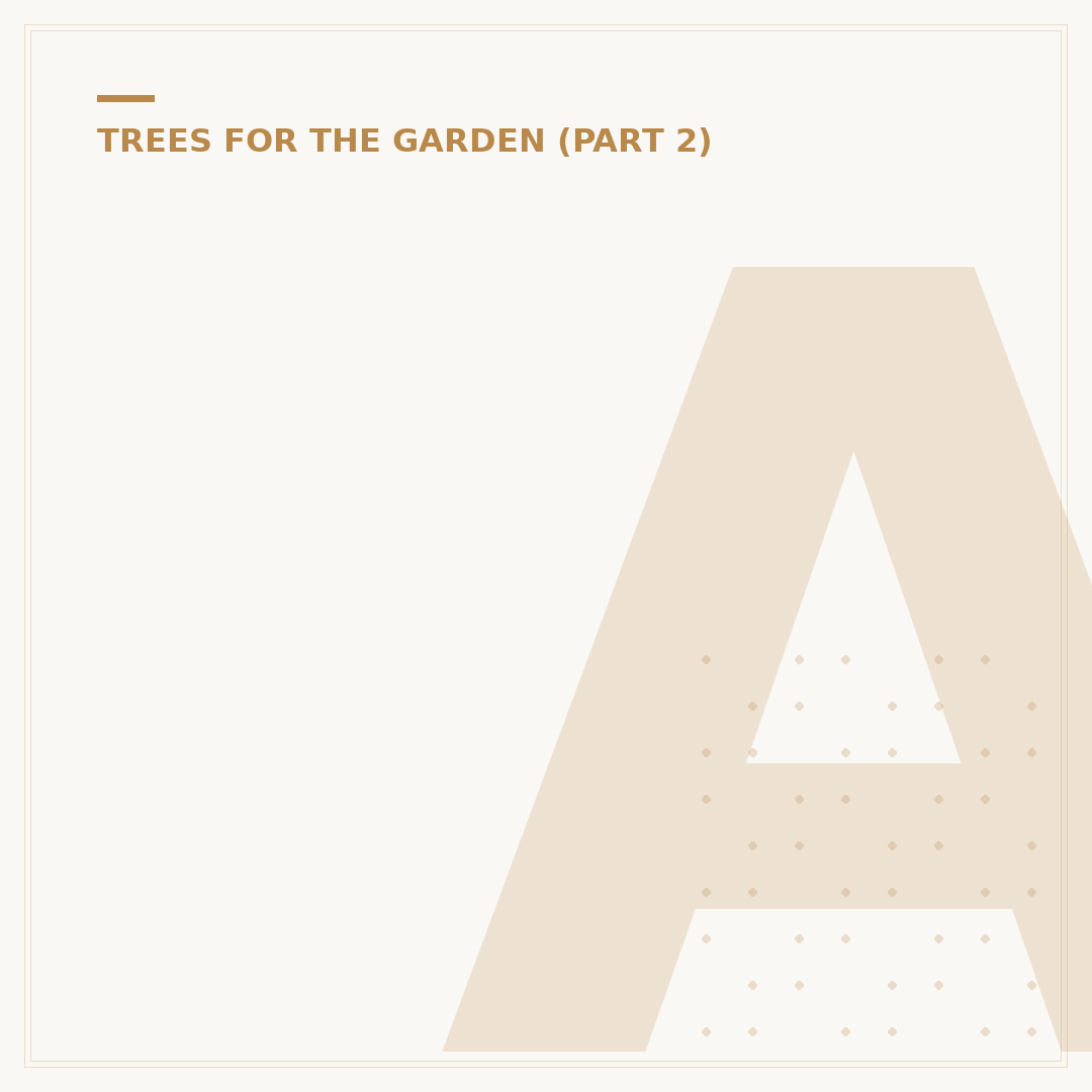 Acer Japanese Maple Care: Pruning, Soil & Planting