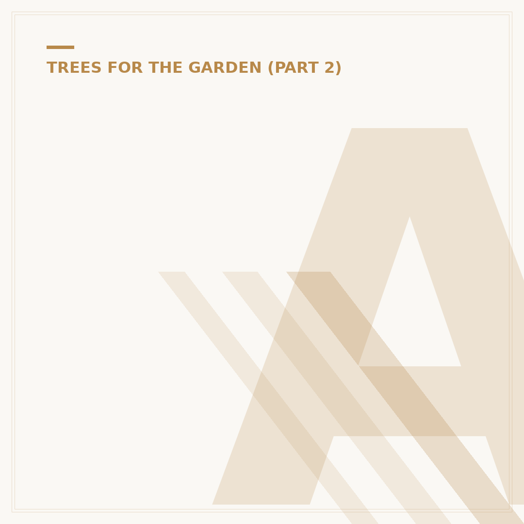 Acer Maple Tree Care: Planting, Pruning & Health