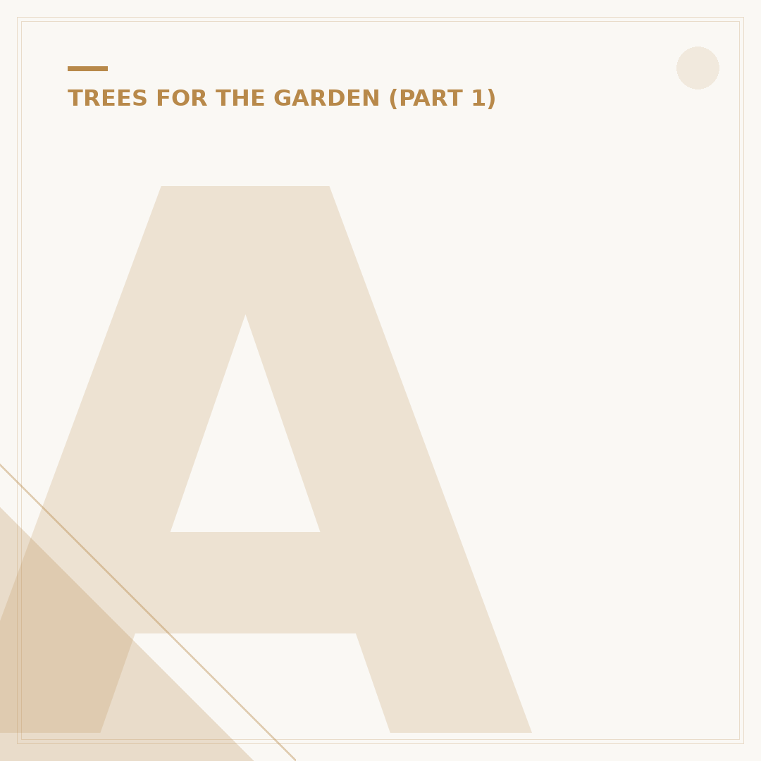 Acer Palmatum Maple Tree: Varieties & Care