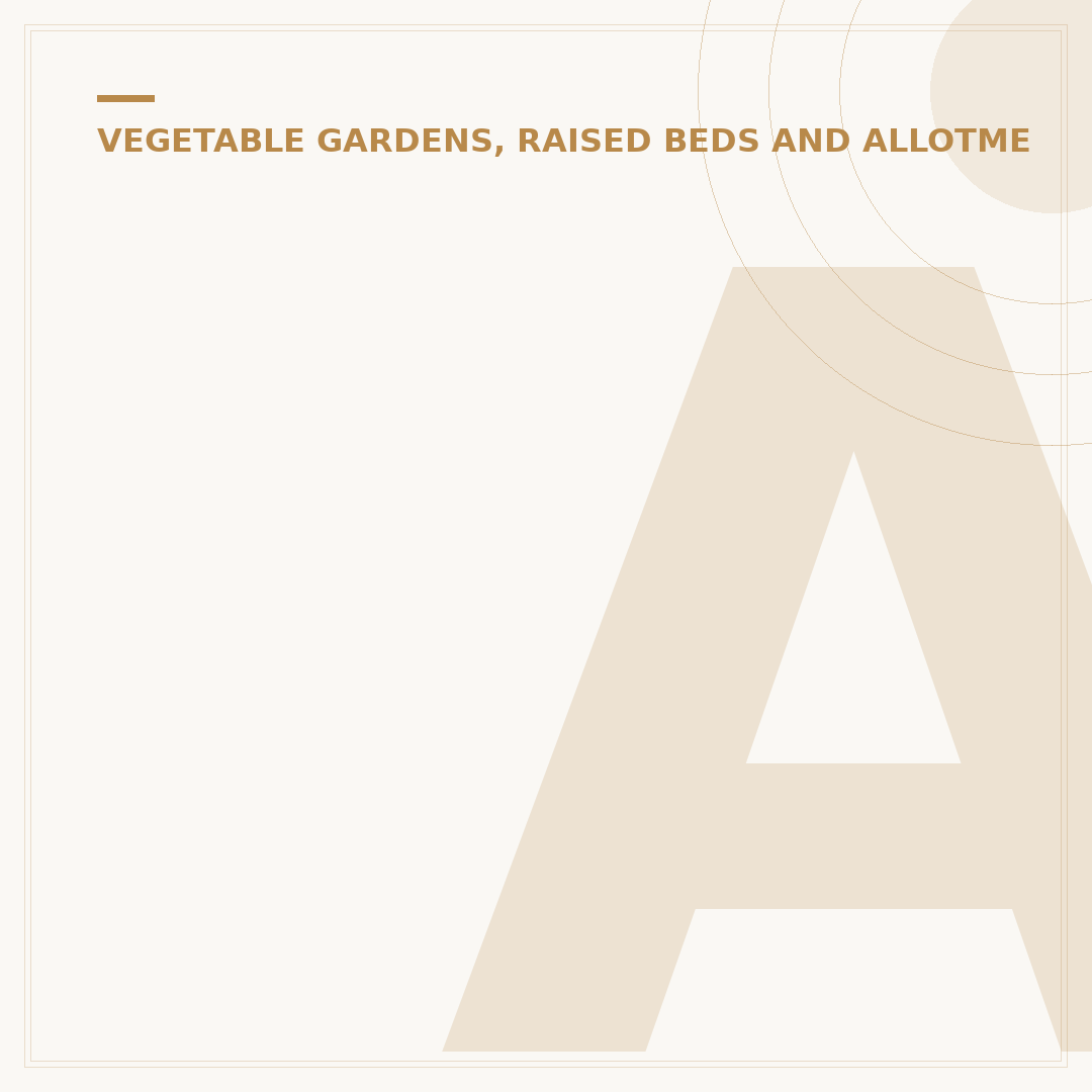 Allotments: Finding and Managing Your Own Garden Plot