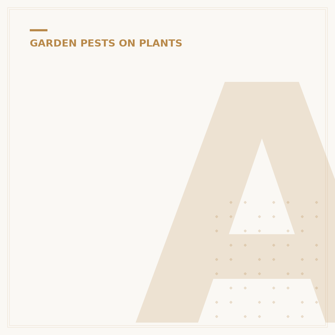 Aphids Bugs: Identification and Control Alternatives