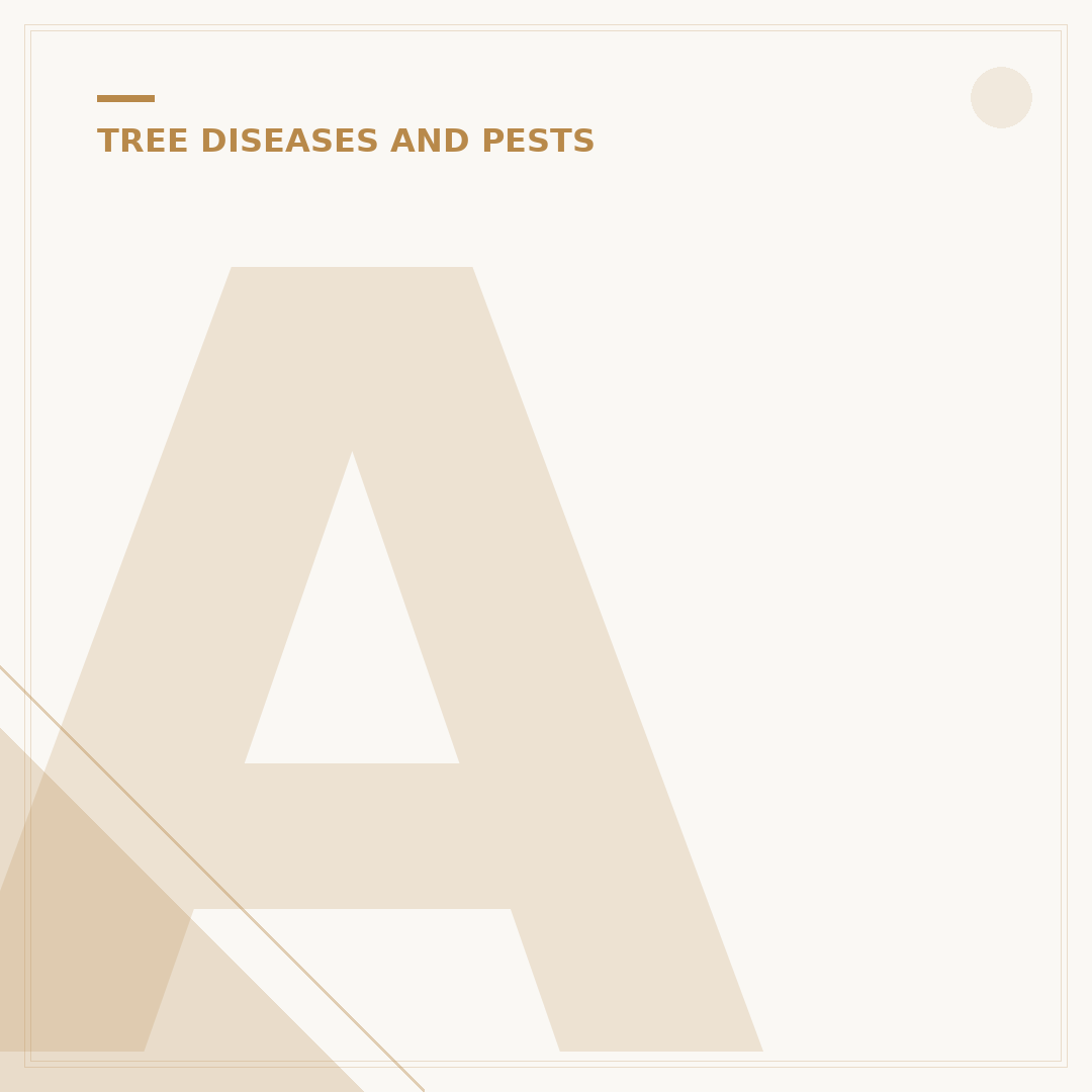 Ash Dieback Chalara Fraxinea: Understanding and Management