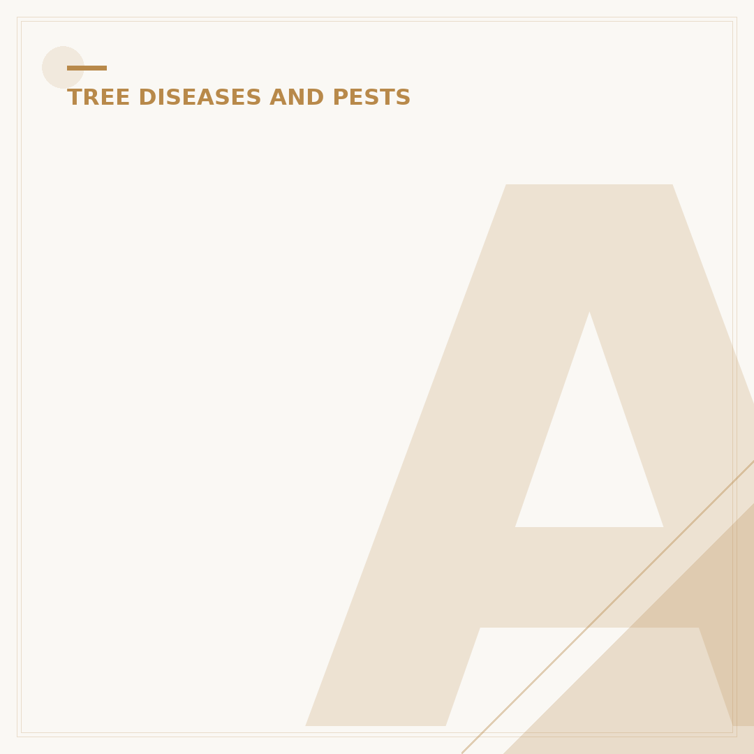 Ash Dieback Disease: Understanding & Managing the Threat