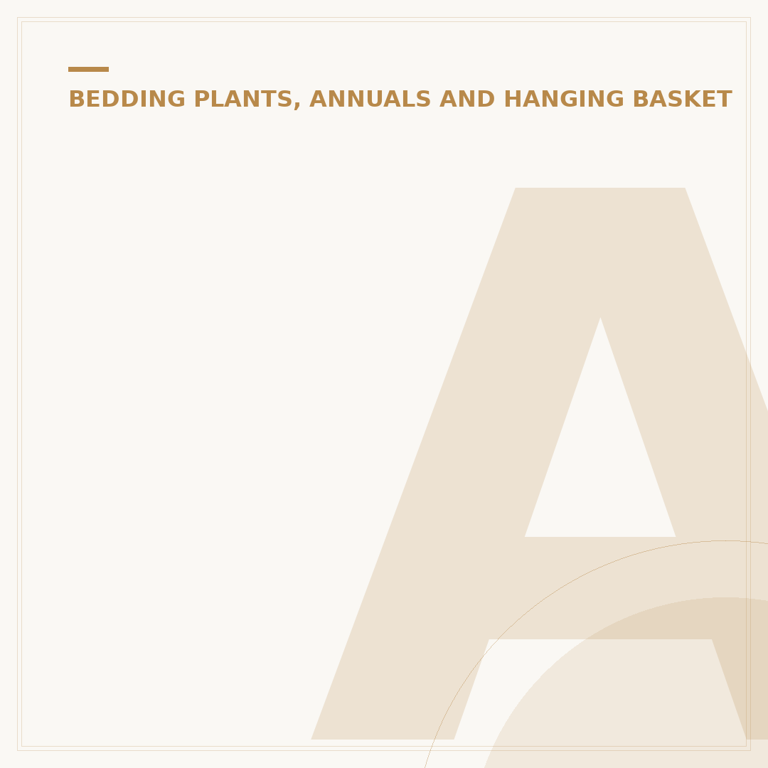 Aunt Petunia Plants: Varieties and Growing Tips