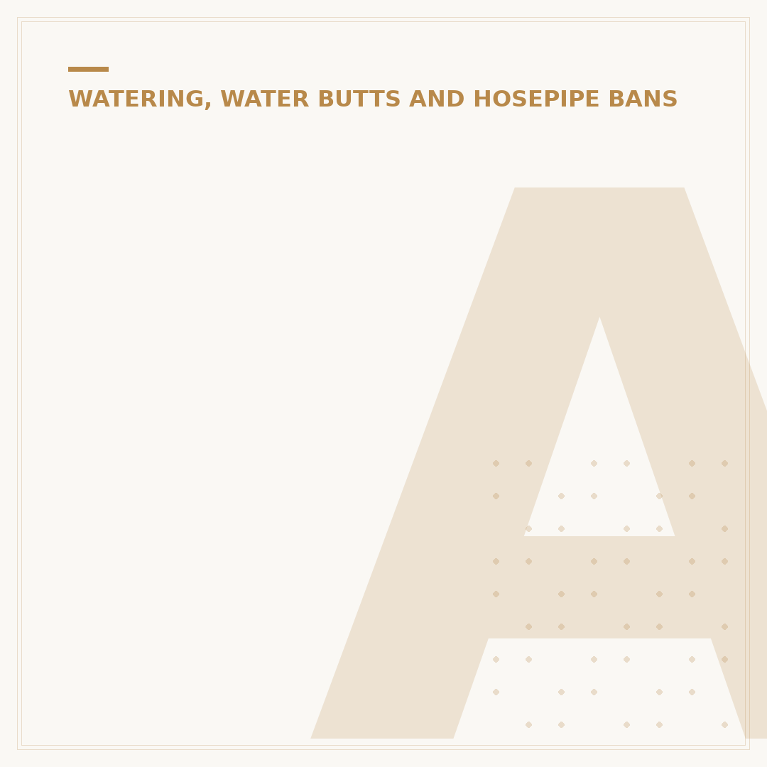 Automatic Watering Device for Plants: Options Explained