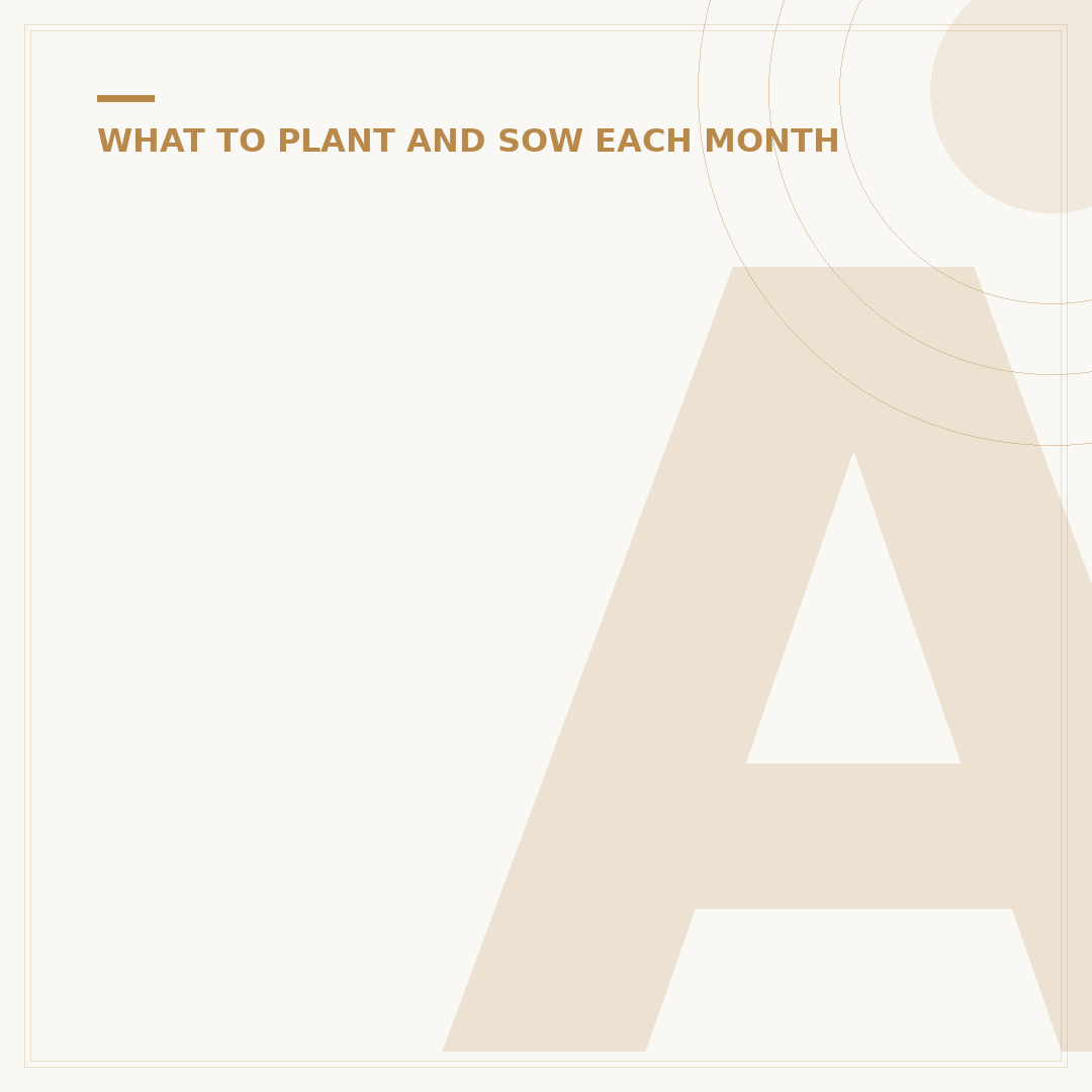 Autumn Plants for Pots