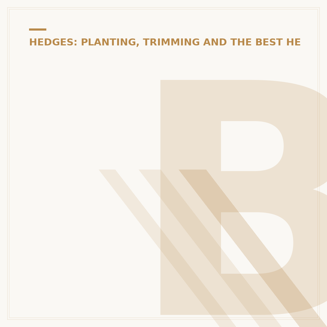 Barrow Hedges: Choosing the Right Plants