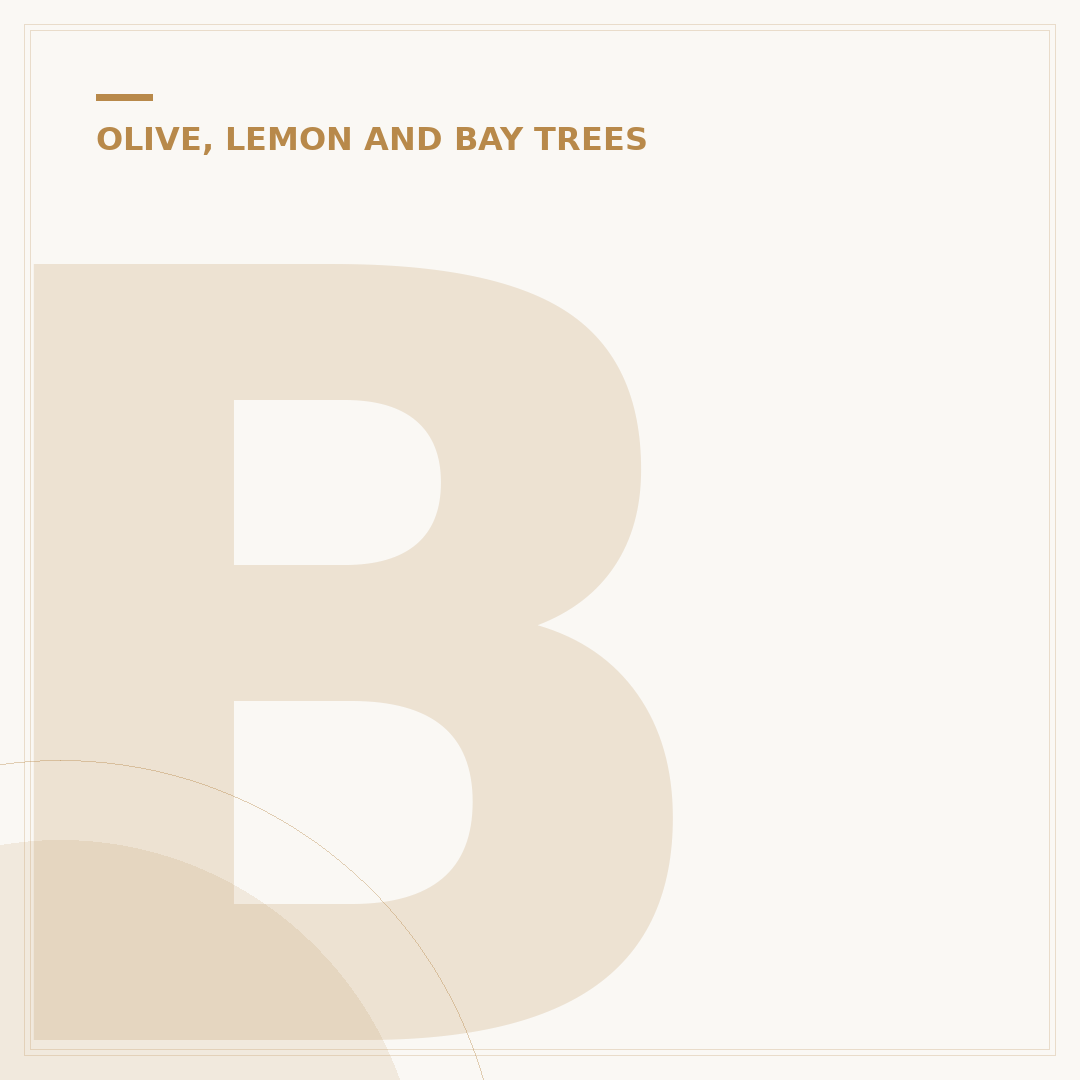 Bay Laurel Tree Diseases: Identification and Remedies