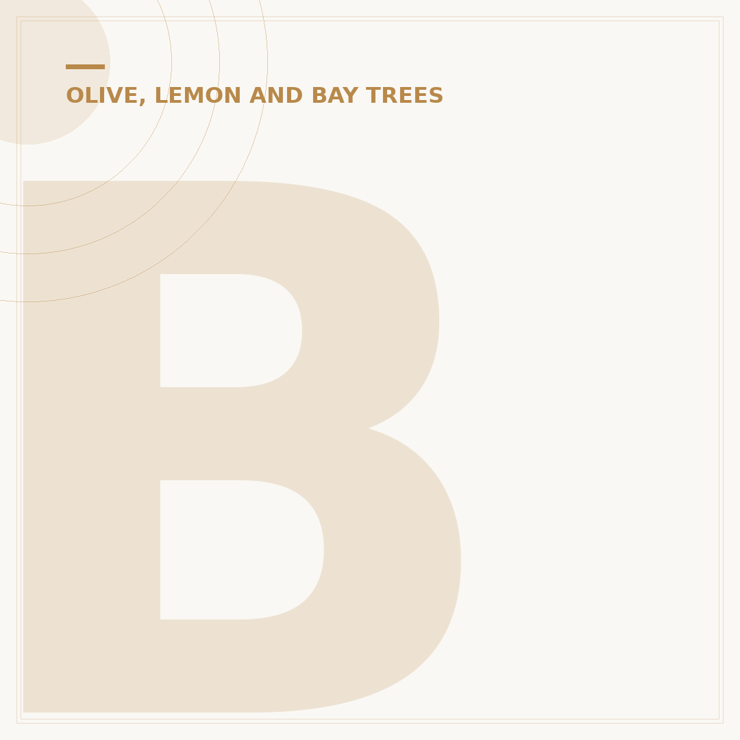 Bay Tree Diseases: Identification and Management