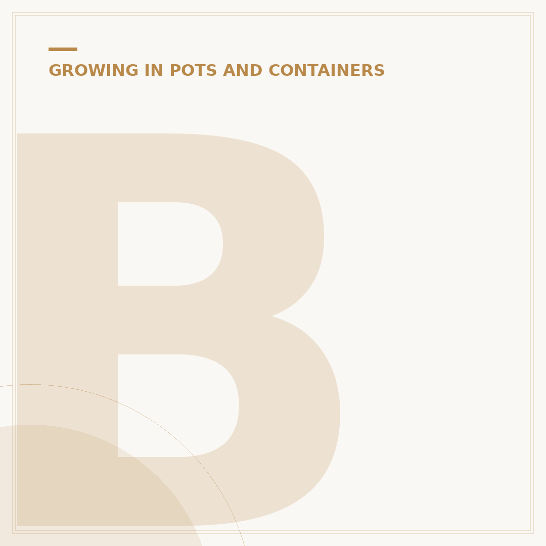 Bedding Plants for Pots: Colourful Container Choices