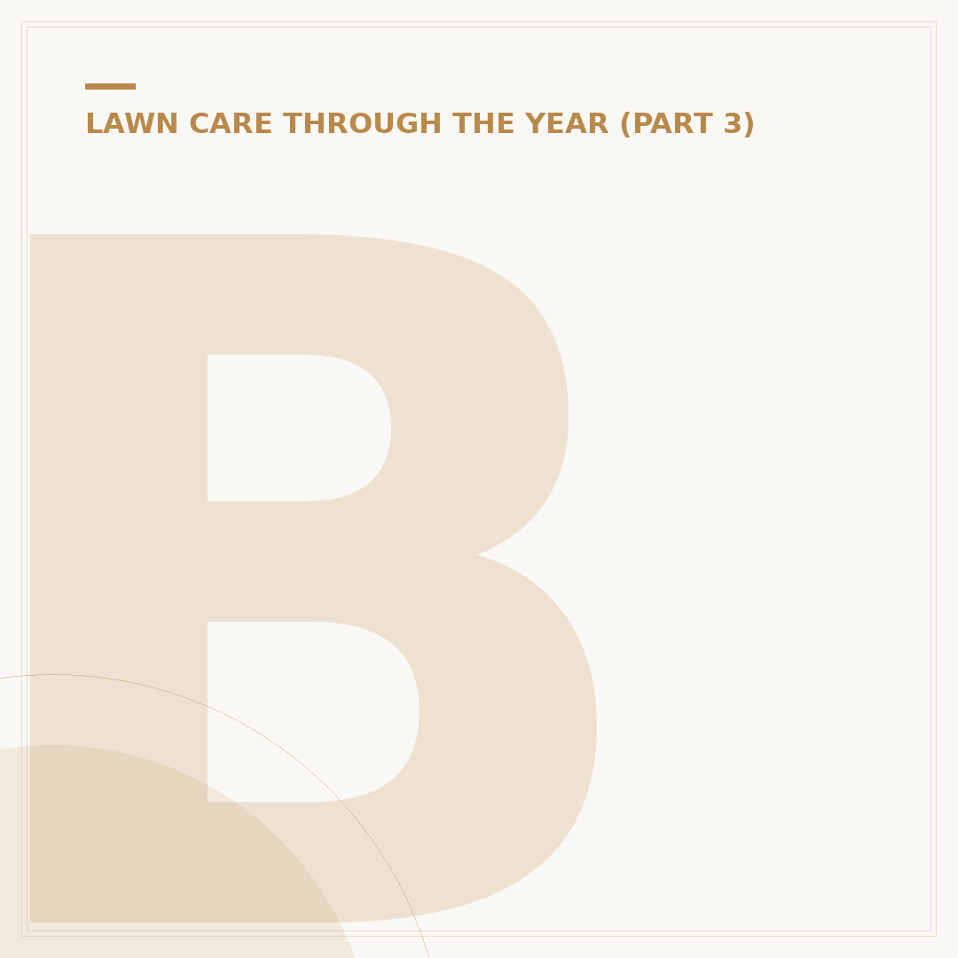 Best Time To Cut Grass: Timing, Conditions & Lawn Health