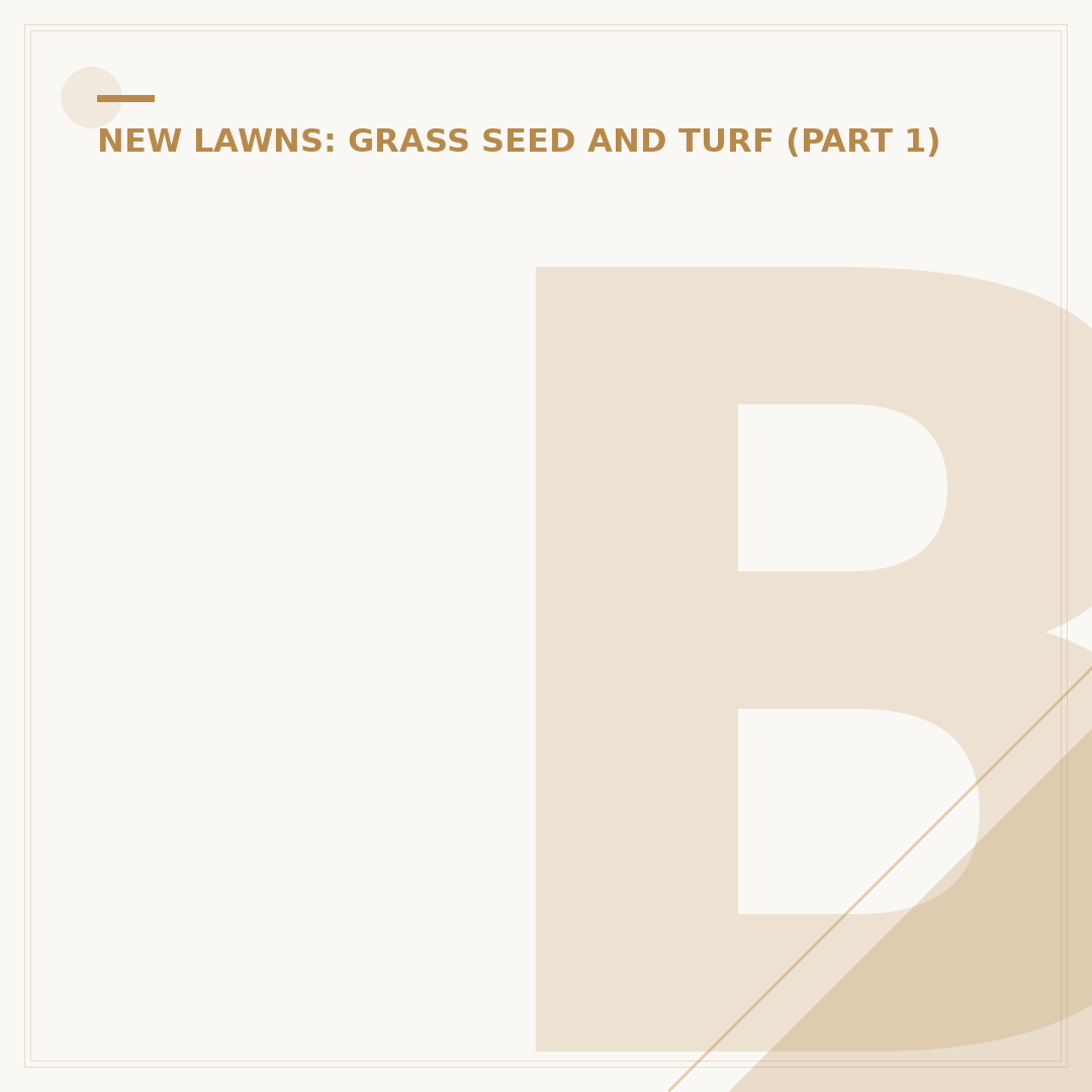 Best Time for Lawn Seeding: Spring vs Autumn