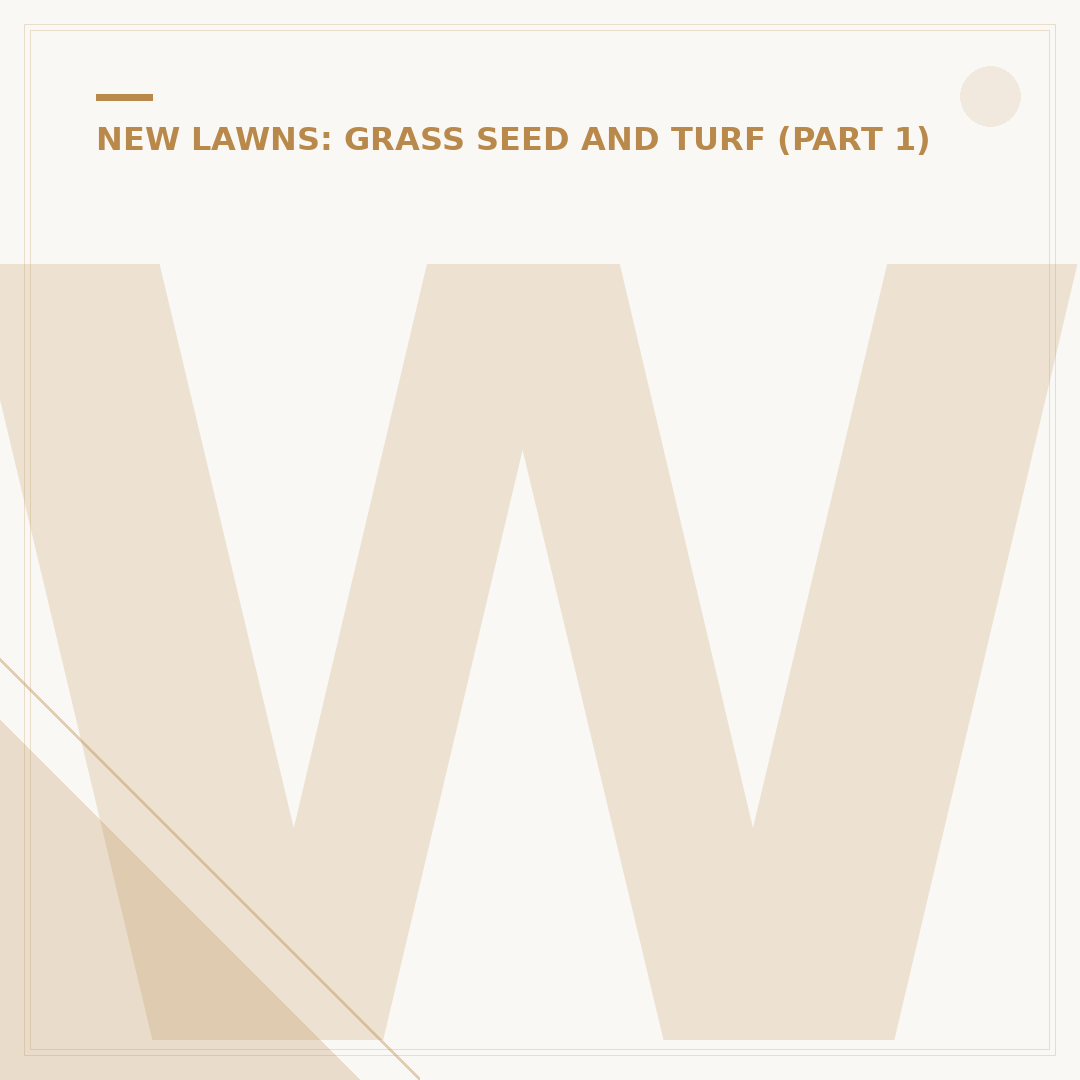 When Is the Best Time to Lay Turf?