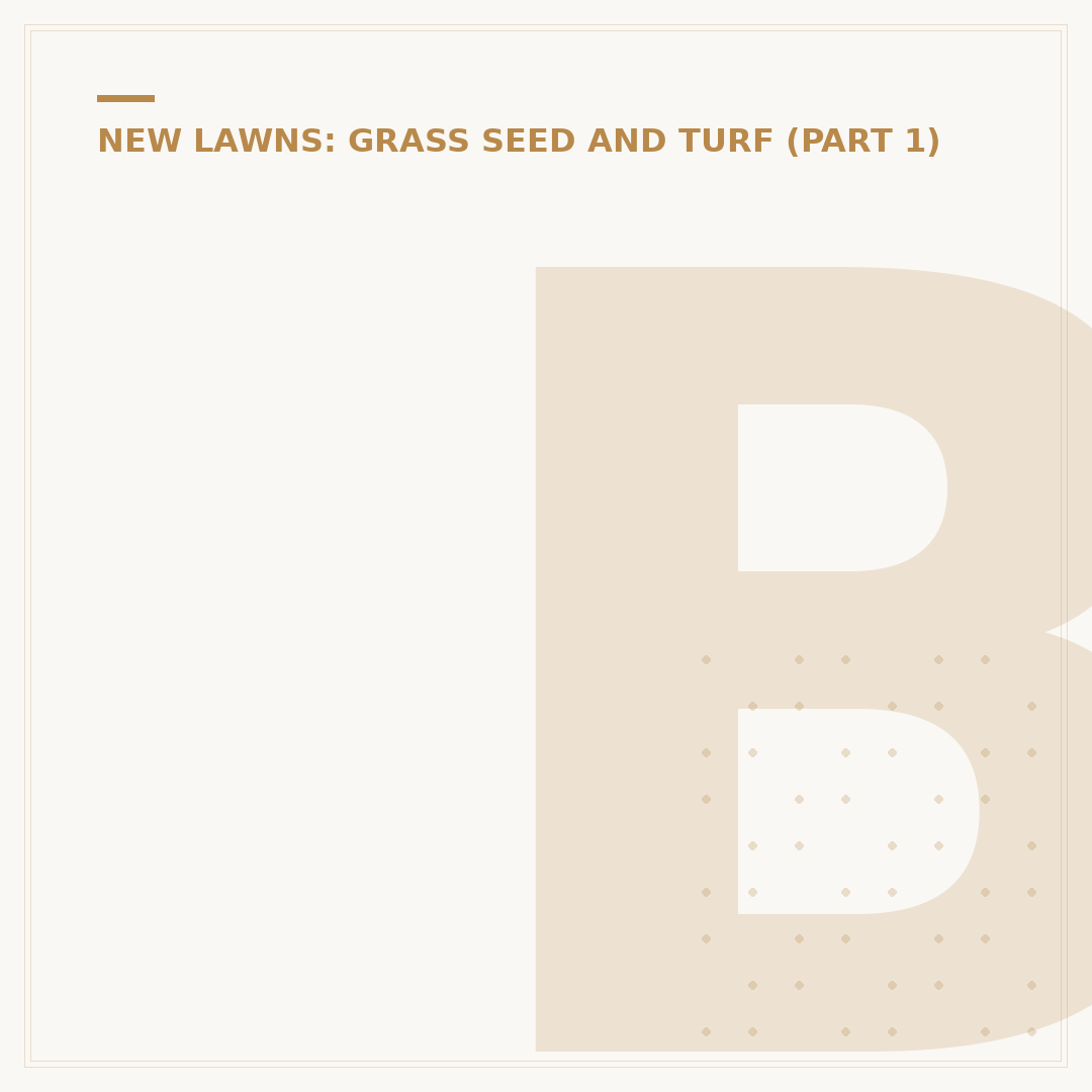 Best Time to Overseed Lawn UK: Spring or Autumn