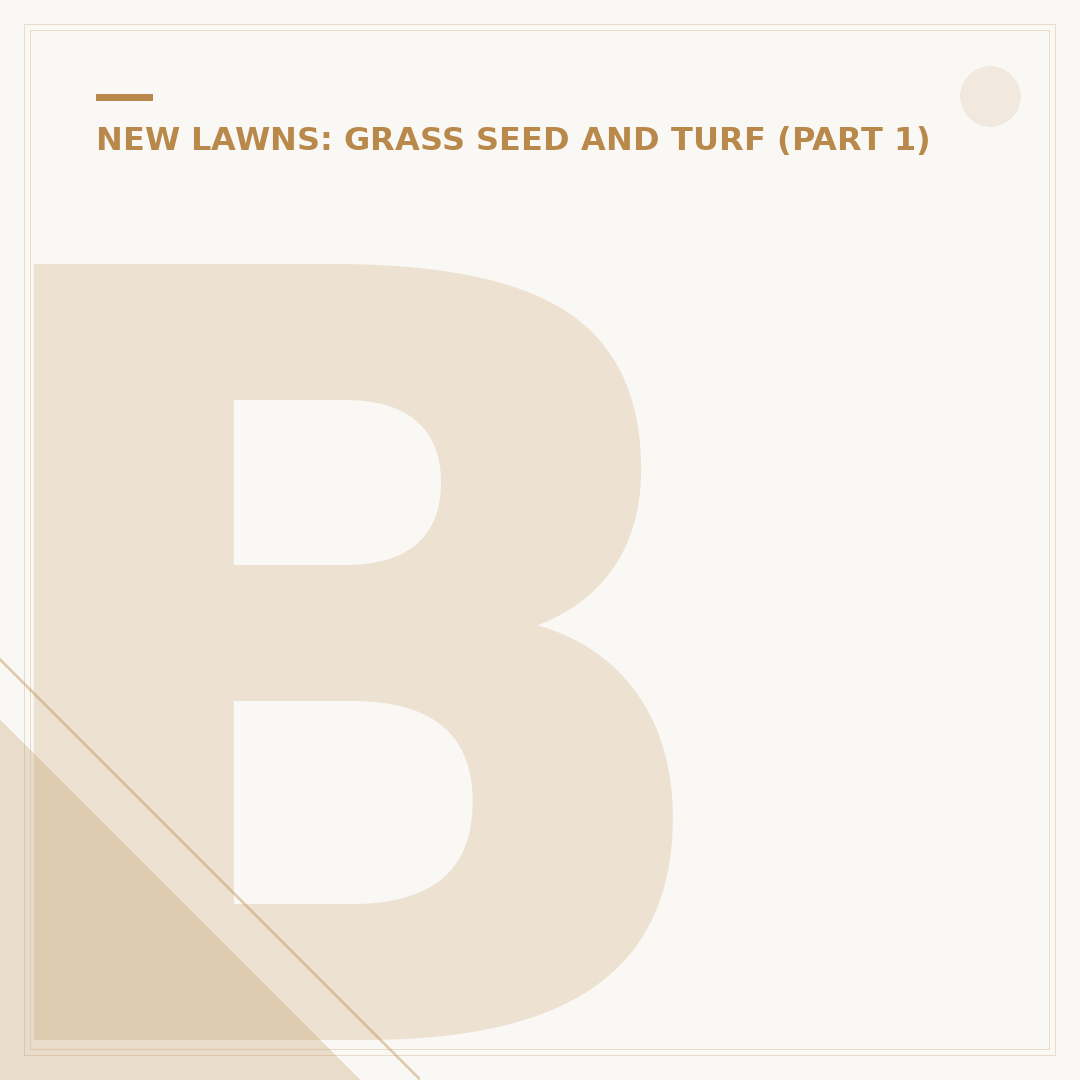 Best Time to Put Grass Seed Down