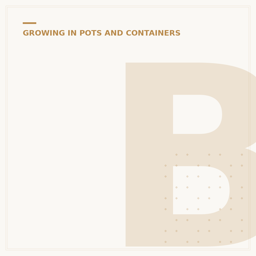 Big Plant Pots