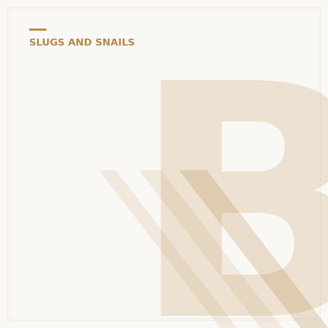 Big Slugs: What They Are & Alternatives