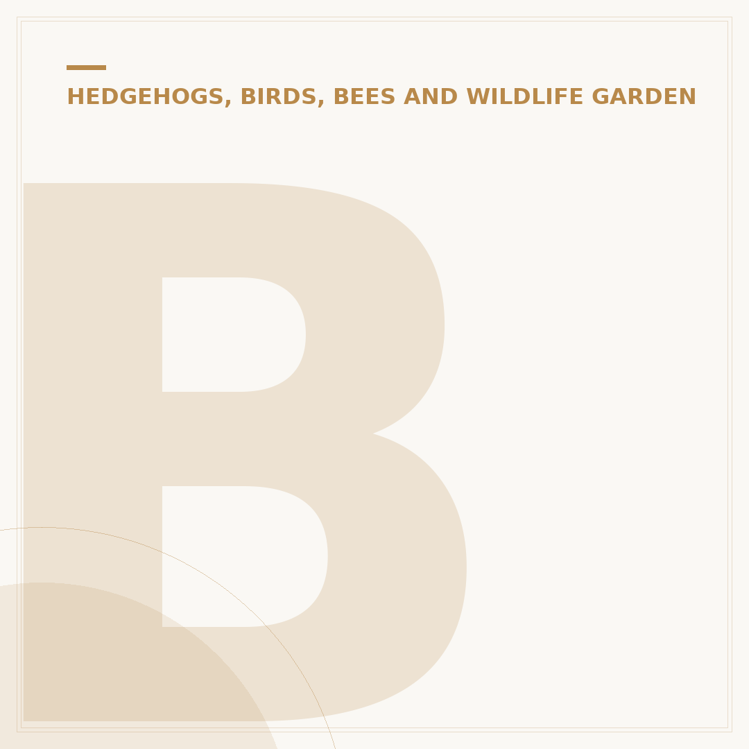 Bird Feeder Types: Finding the Right One for Your Garden