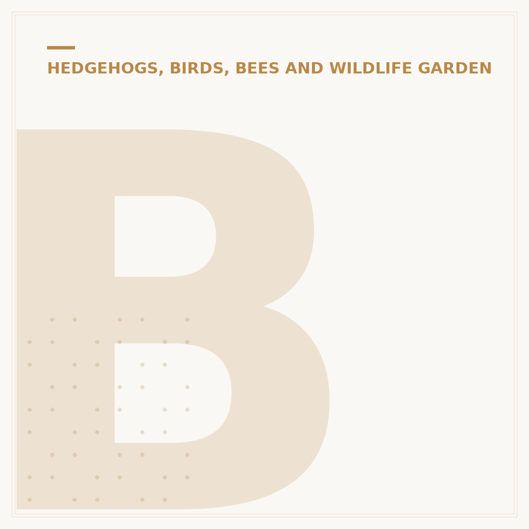 Bird Nest Box With Camera: Monitor Garden Wildlife