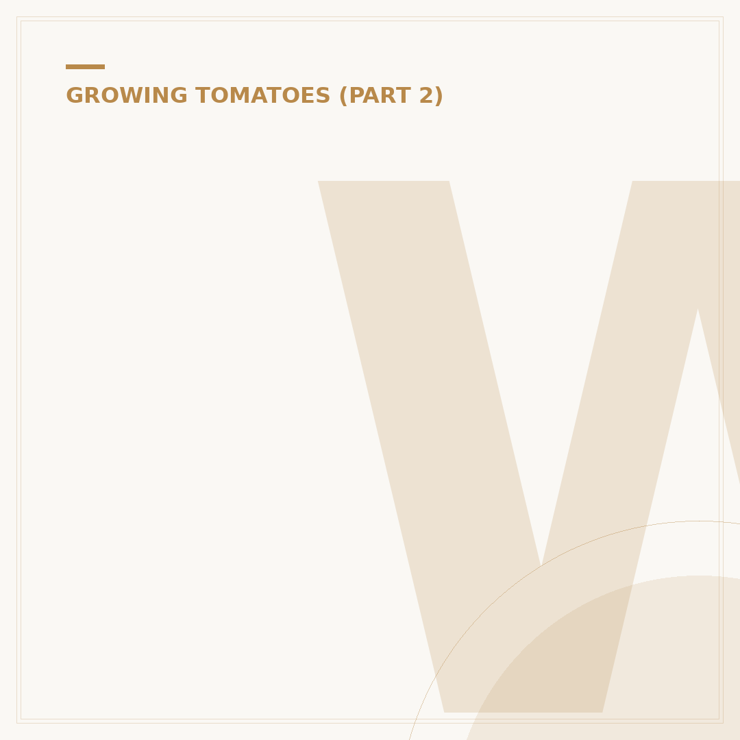 Will Birds Eat Tomato Plants?
