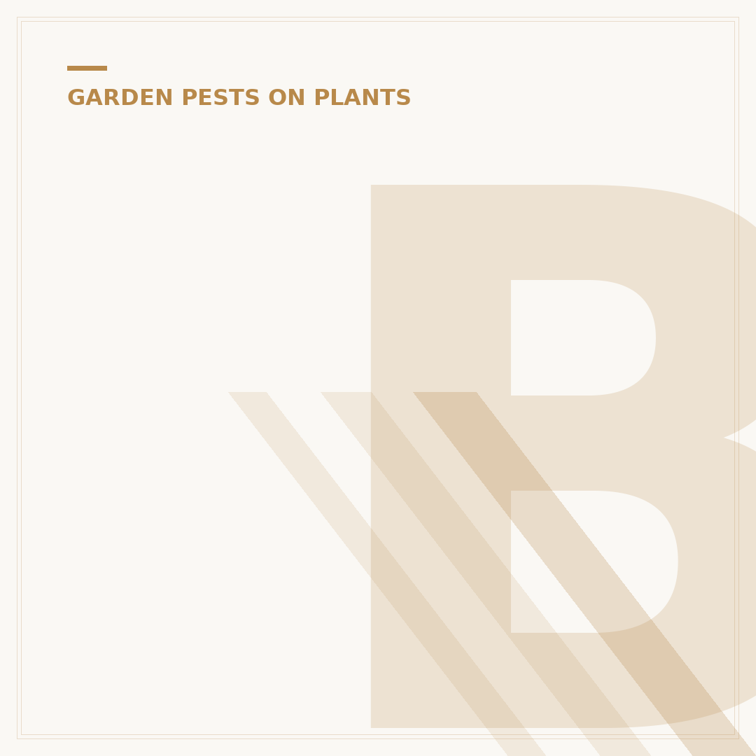 Blackfly on Plants: Identification and Control
