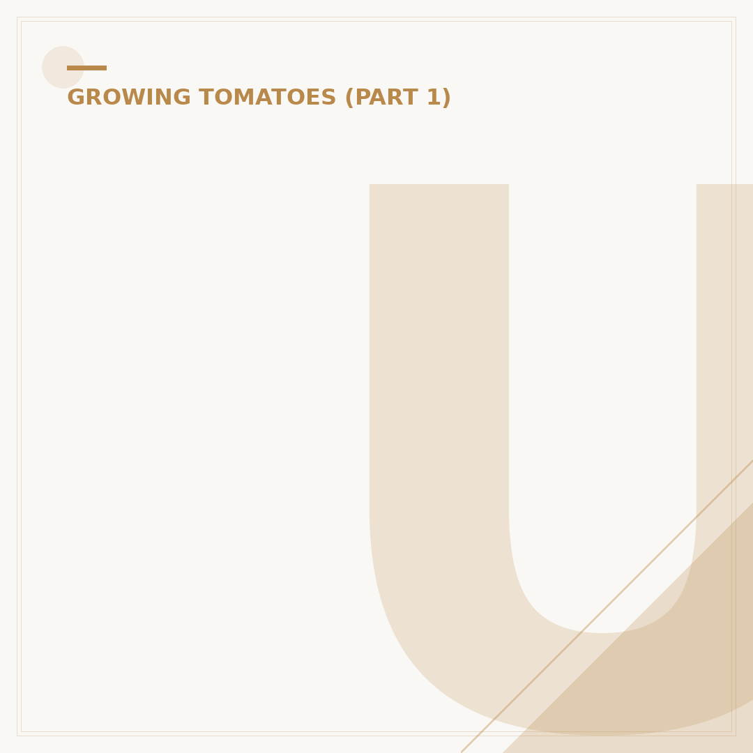Understanding Blight on Tomatoes for Healthier Plants