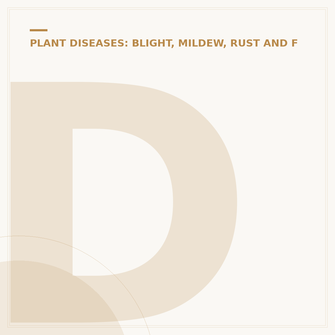 Dealing with Blight in Your Town: Causes and Prevention
