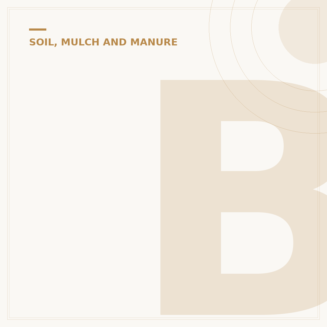 Blood and Soil: Understanding Its Meaning & Alternatives