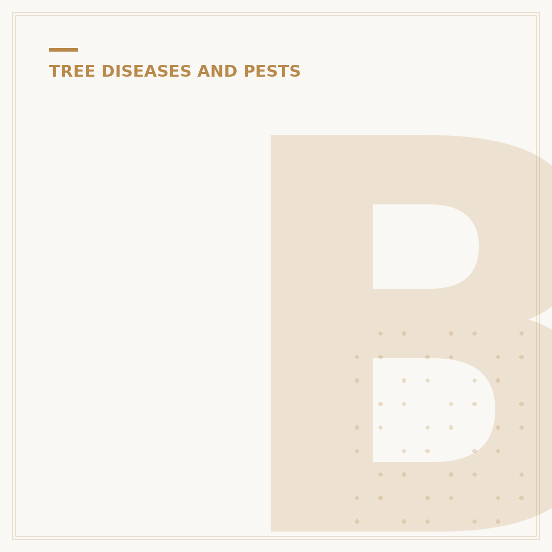 Box Blight Remedy