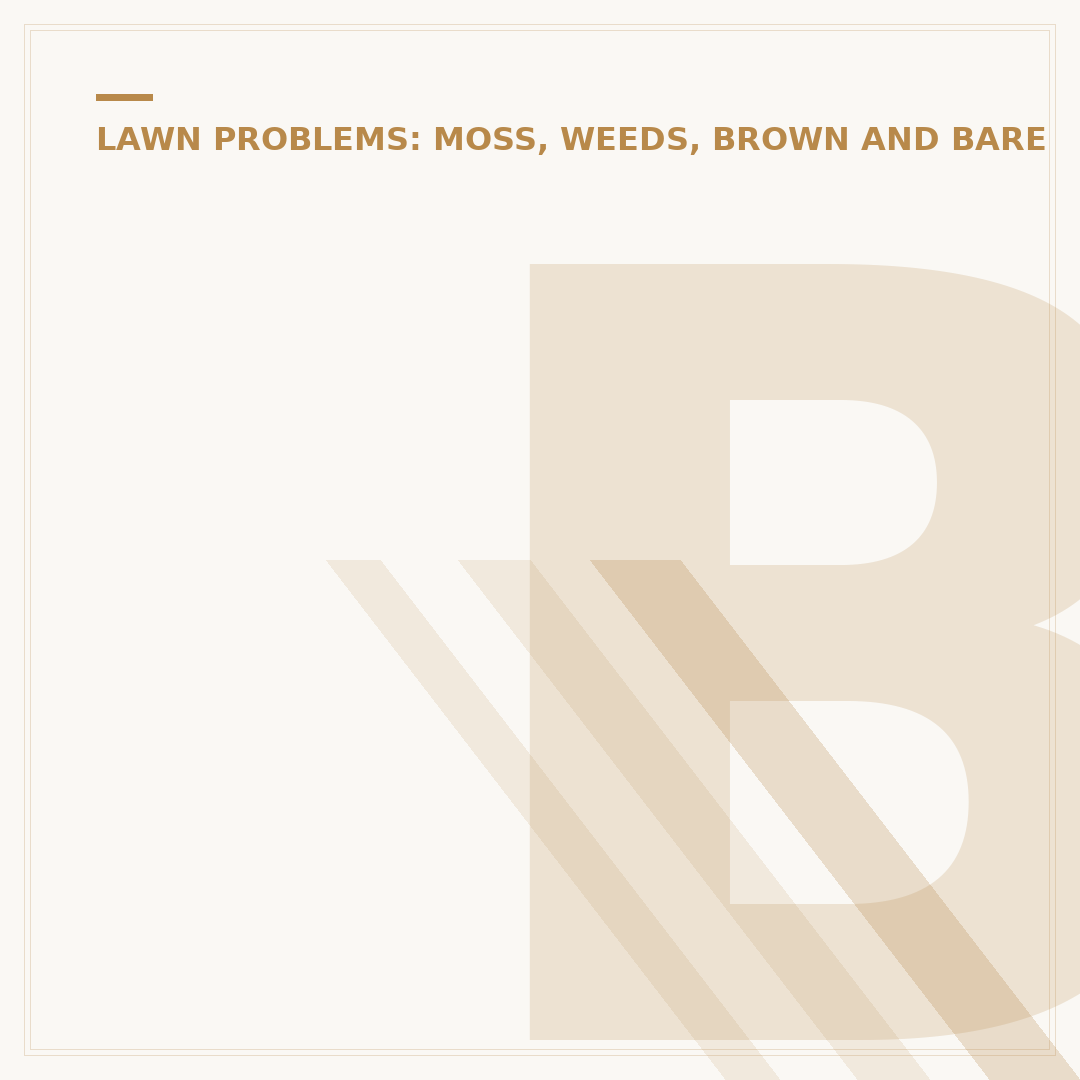 Brown Spots in Grass: Causes and Lawn Care Solutions
