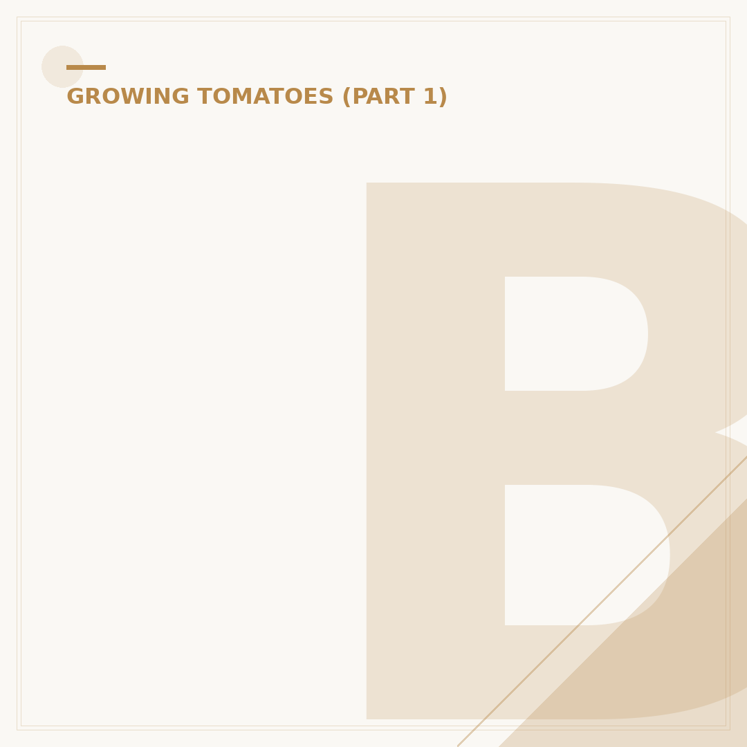 Brown Spots on Tomato Plant Leaves: Causes and Solutions