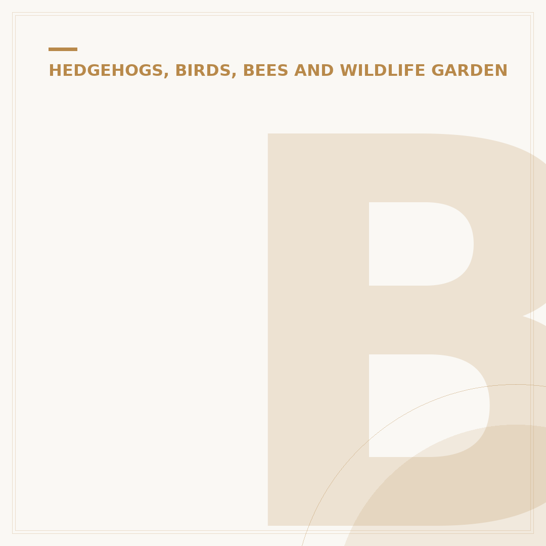 Building a Hedgehog House: Avoid Costly Mistakes