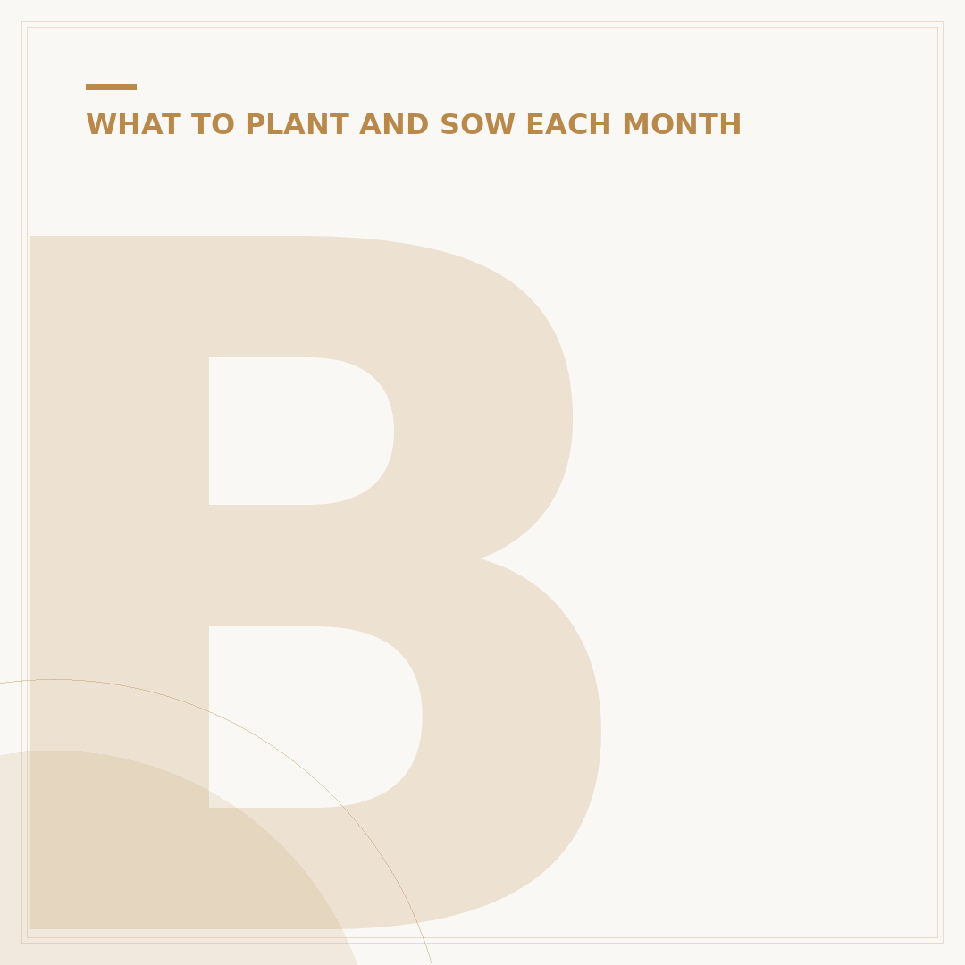 Bulbs to Plant in April for Spring & Summer Blooms