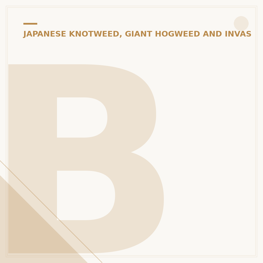 Burning Japanese Knotweed: Risks and Alternatives