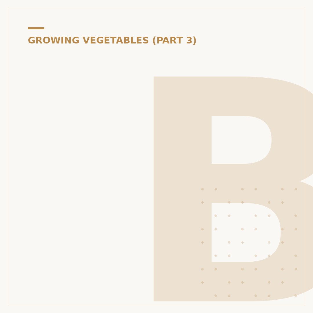 Butternut Squash Growing Stages: Seed to Harvest