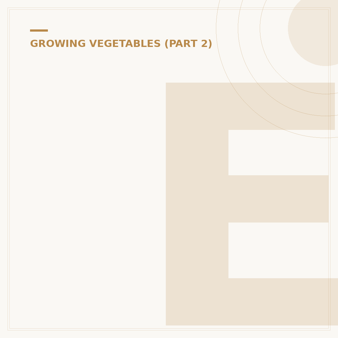 Exploring Different Types of Cabbage Plants