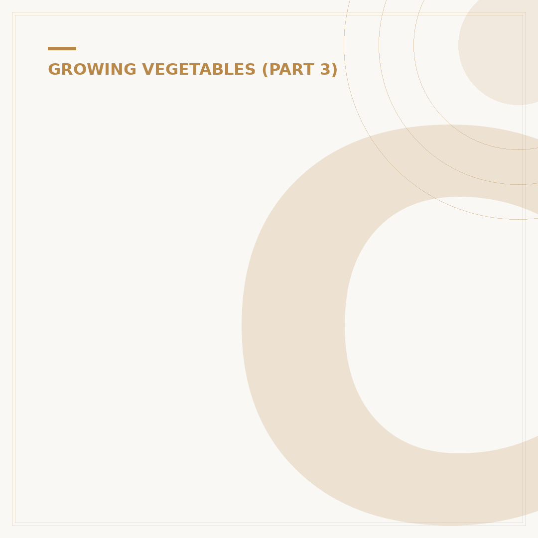 Cabbage Stem Flea Beetle: Control and Prevention
