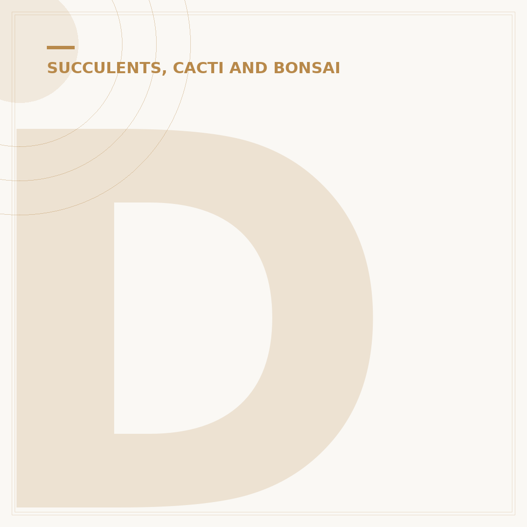 Do Cacti Need Sun? Light Requirements Explained