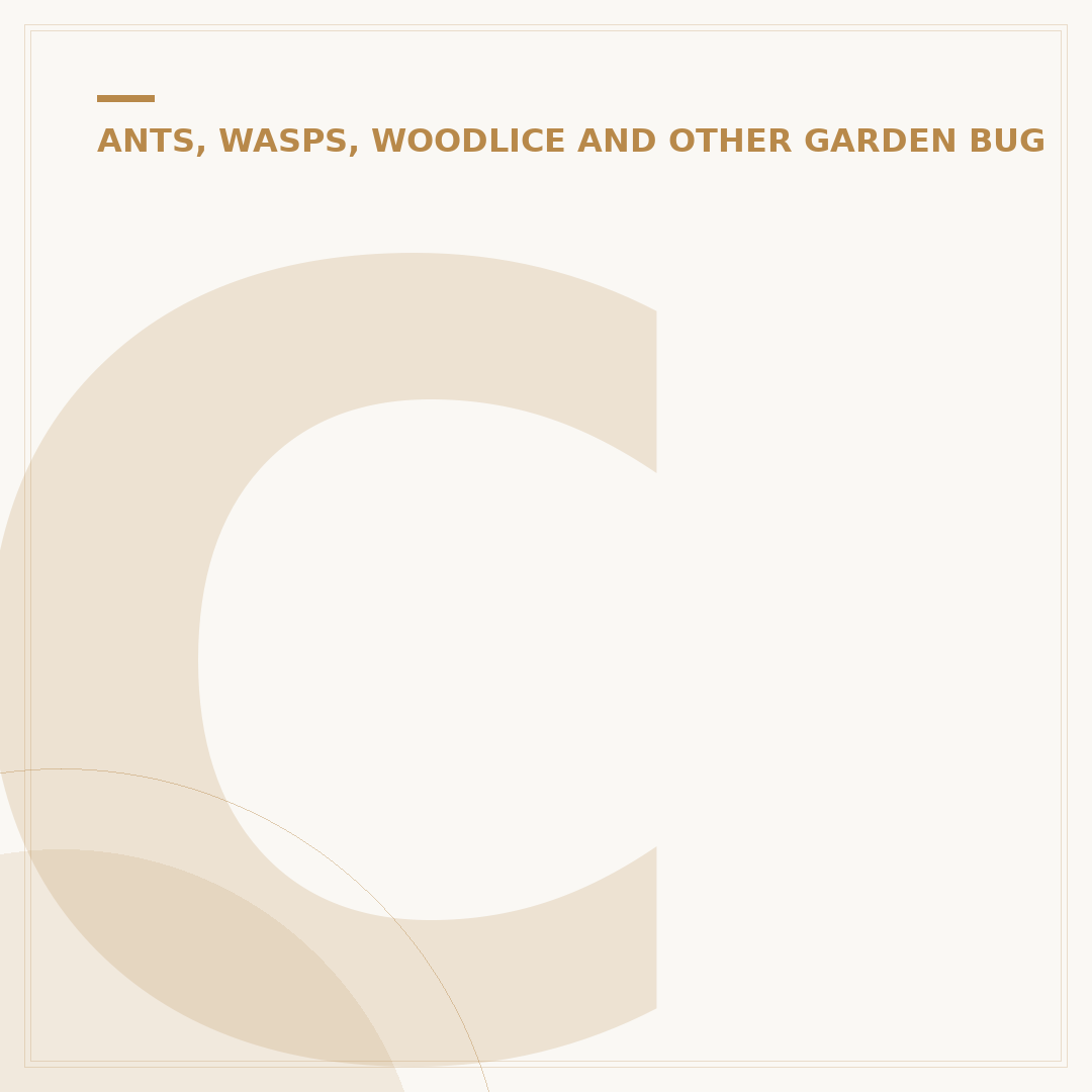 Can Woodlice Swim? Understanding Their Aquatic Behaviour