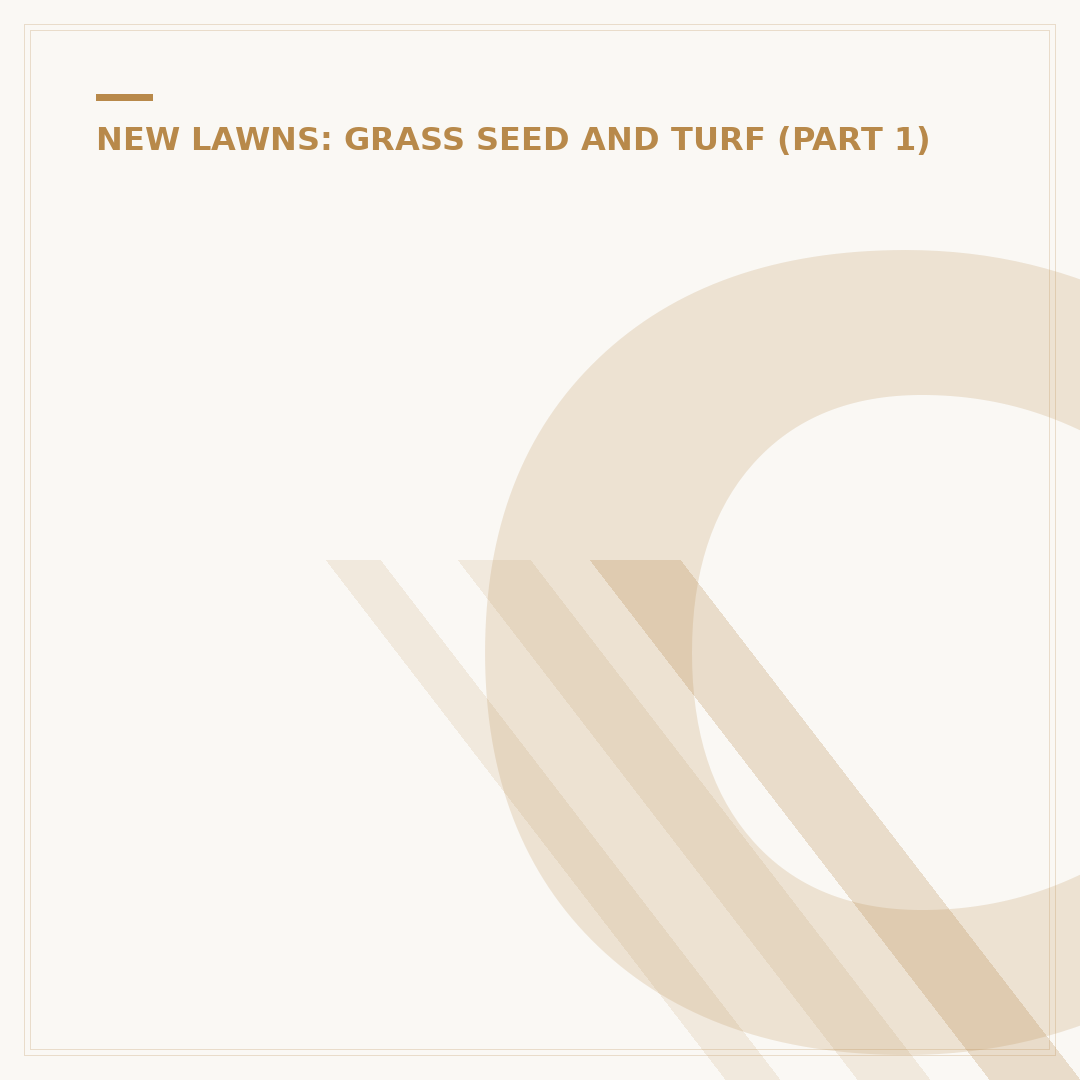 Cat Grass Seeds: Growing Safe, Nutritious Greens
