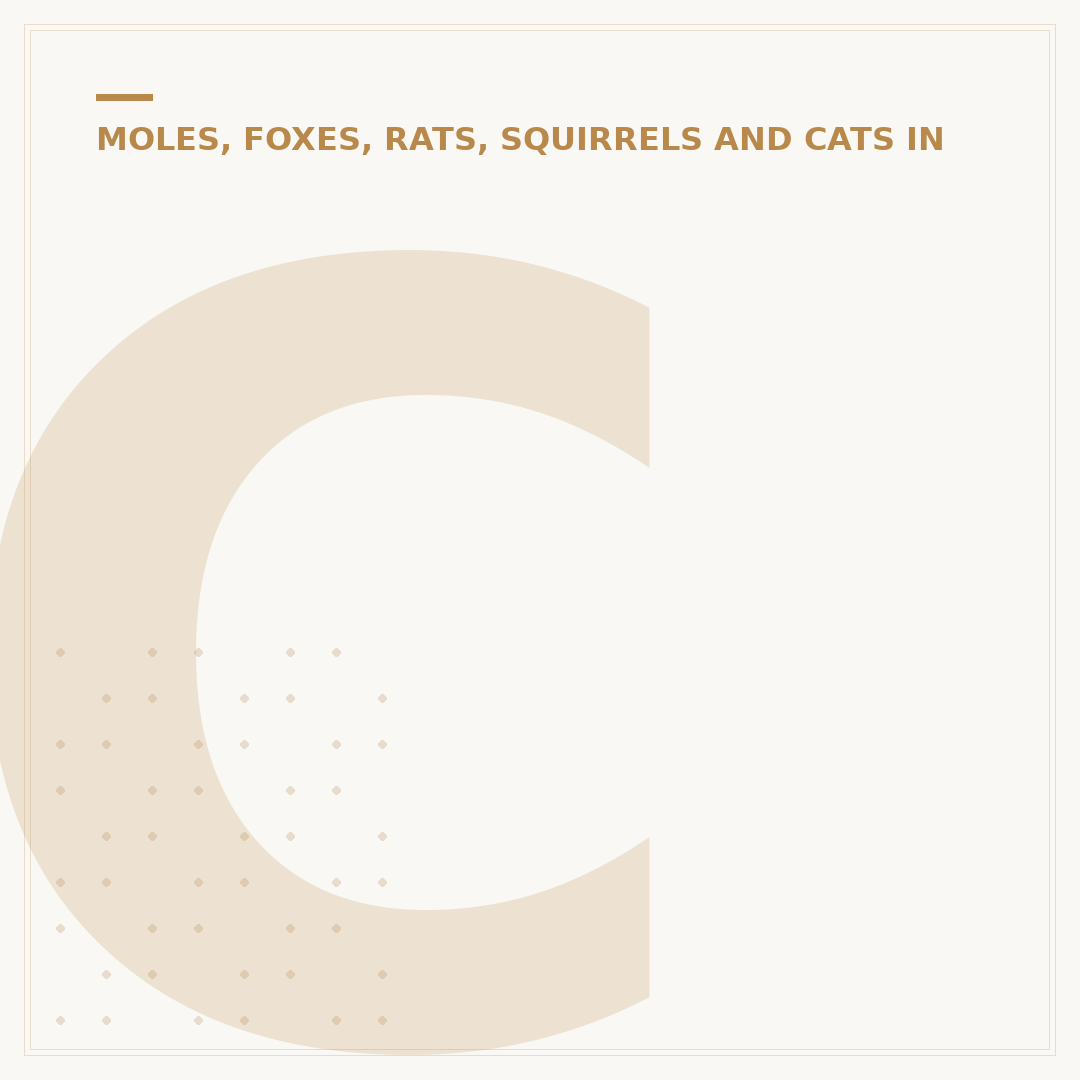 Cats in the Garden: Family Hotel Stays Explained