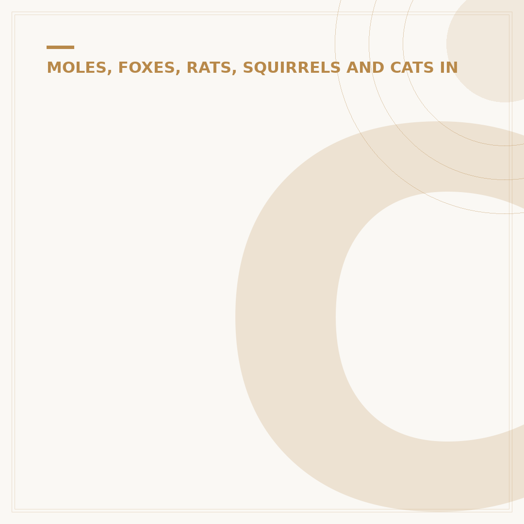 Cats Garden Hotel Side Antalya: What to Know