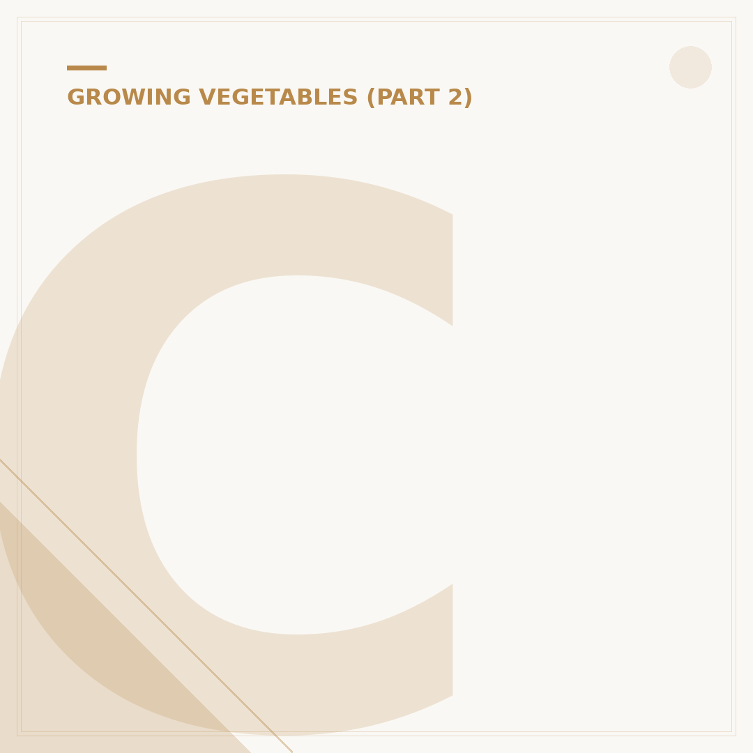 Cauliflower Growing Stages Explained