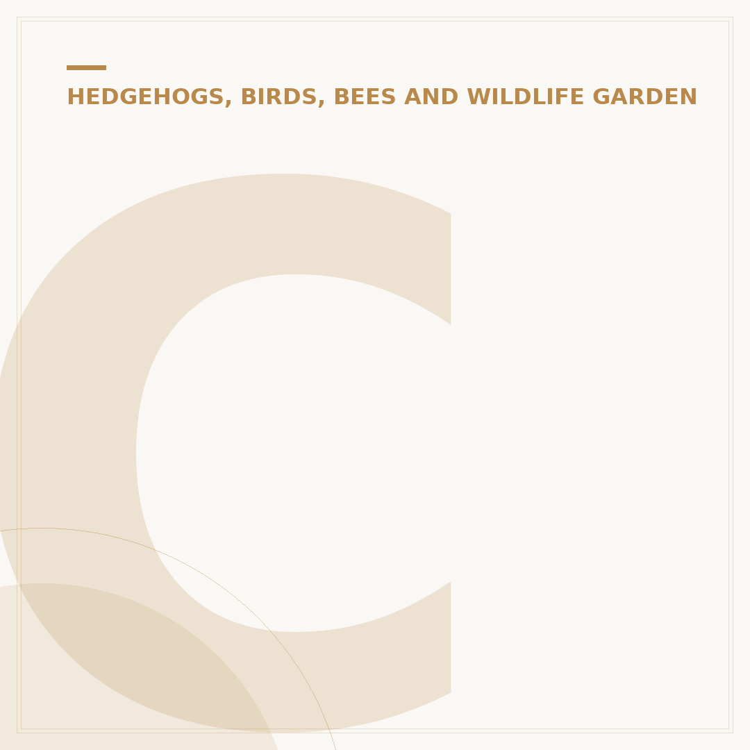 Ceramic Bird Feeder: Style, Durability & Garden Appeal