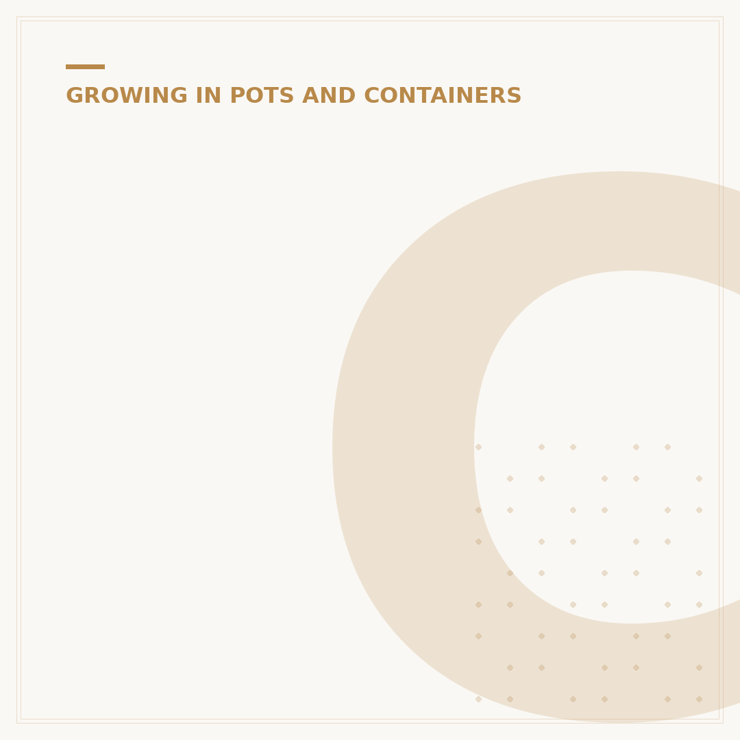 Ceramic Plant Pots: Durability, Style & Alternatives
