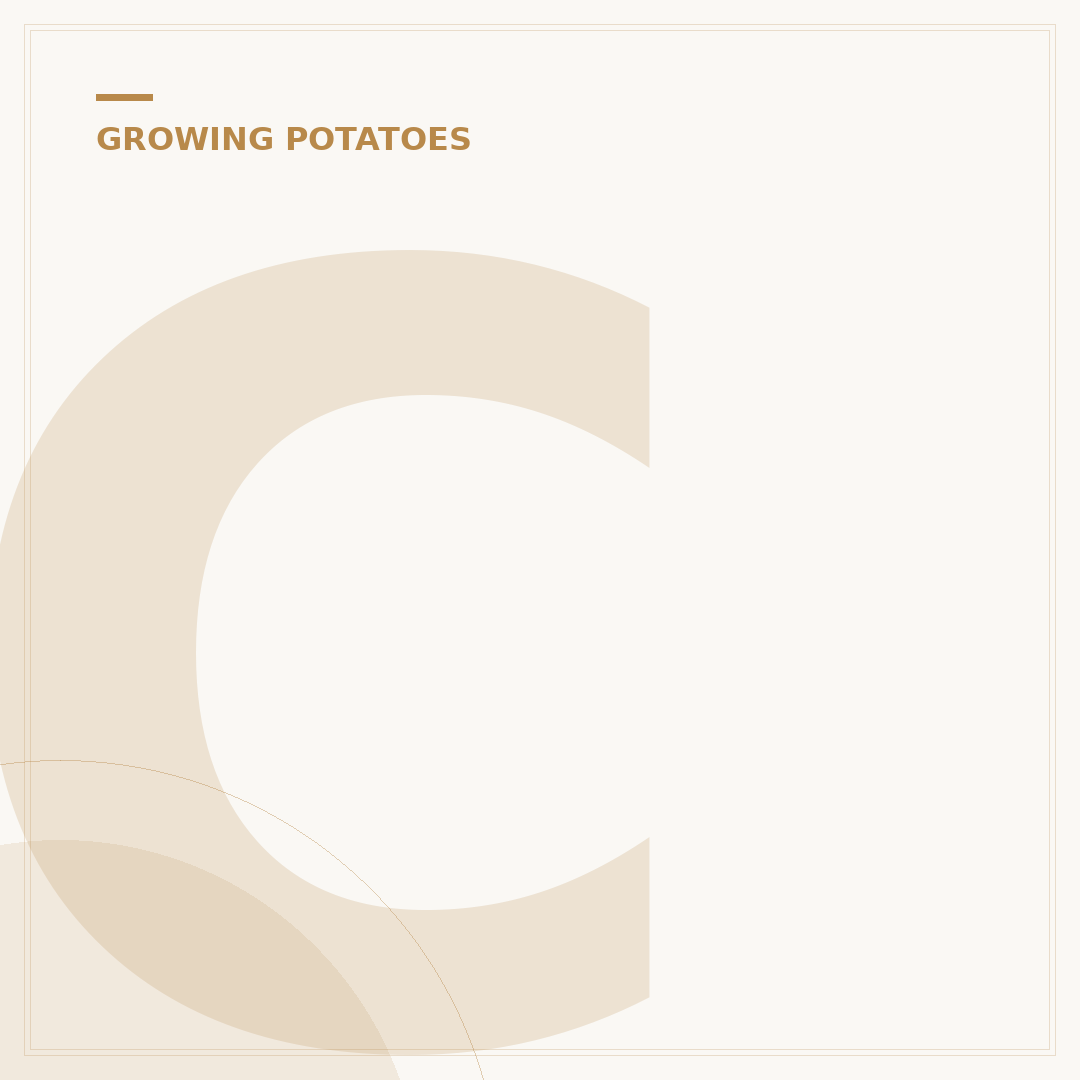 Christmas Seed Potatoes: When to Plant & Grow