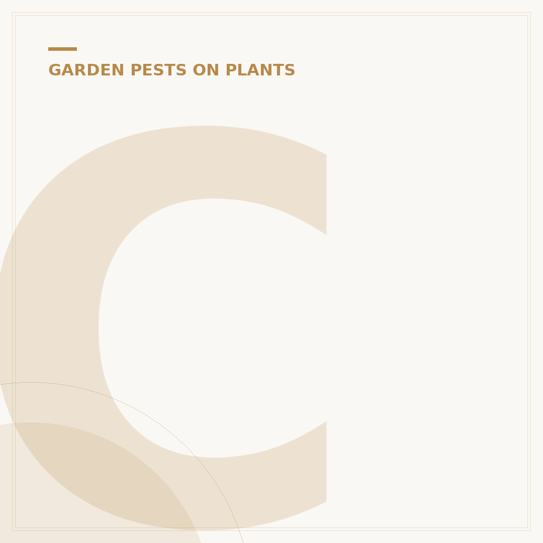 Citrus Scale Insects: Identification & Control Methods