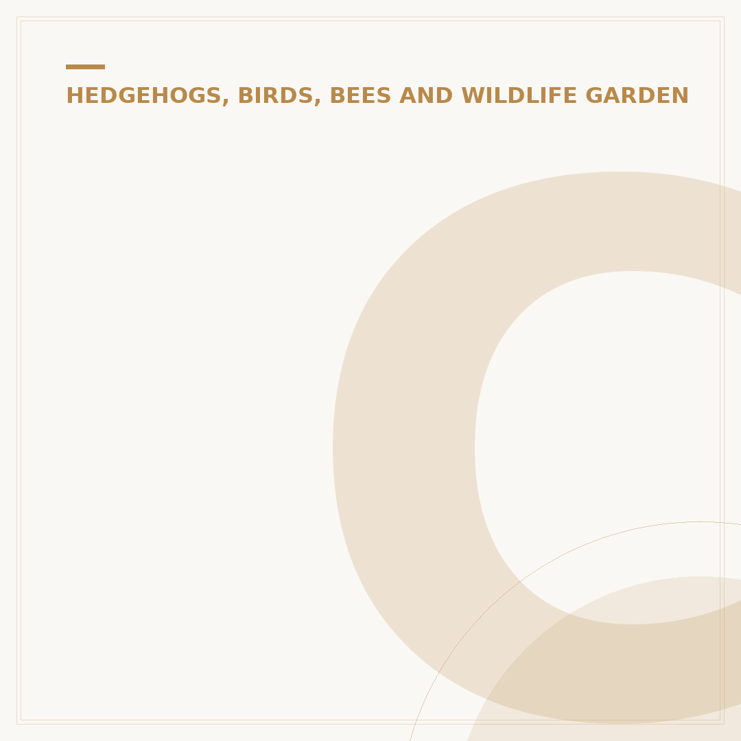 Common Garden Birds UK: Identify and Attract Them