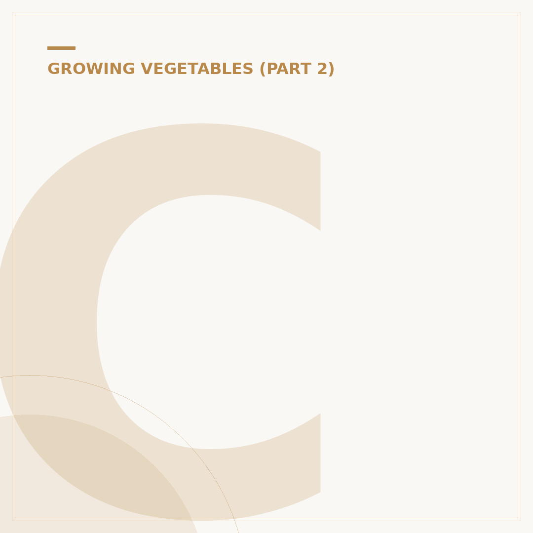 Companion Planting for Beetroot: Boost Your Harvest